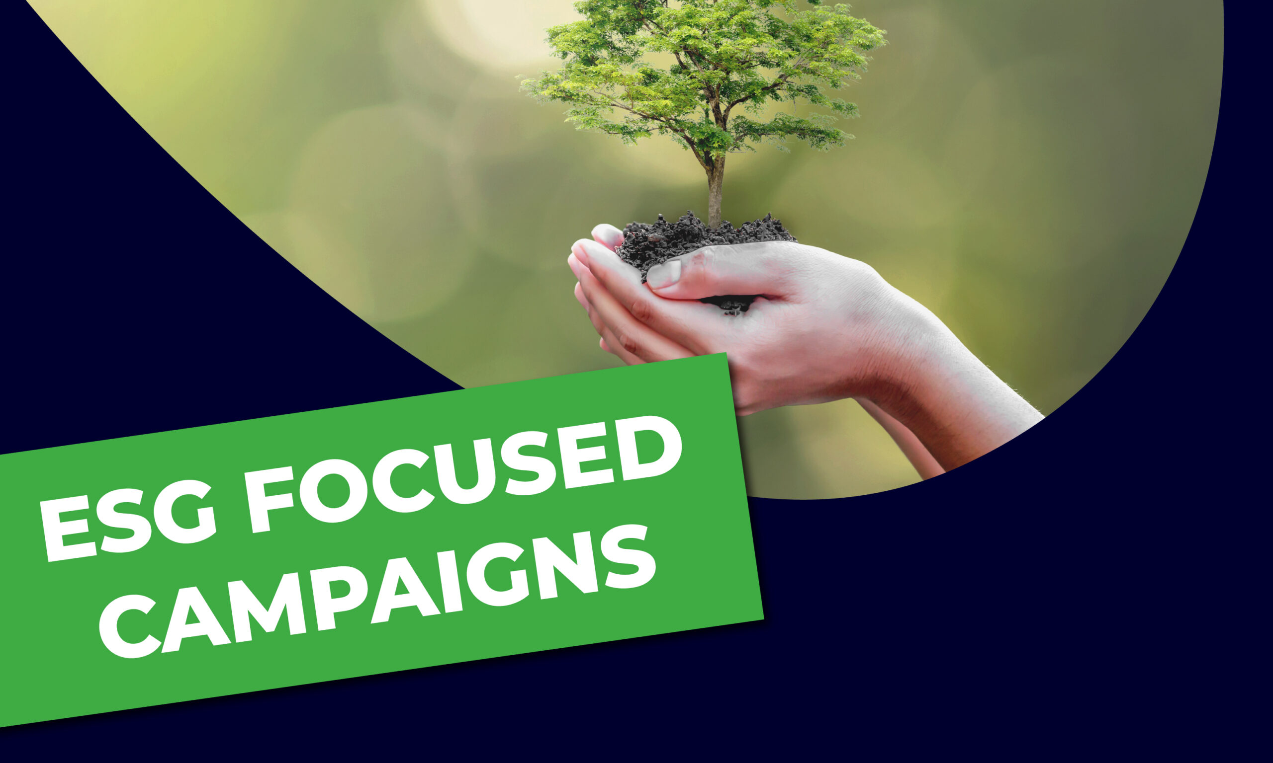 Hands cradling soil with a sapling, symbolizing environmental stewardship for ESG-focused campaigns.
